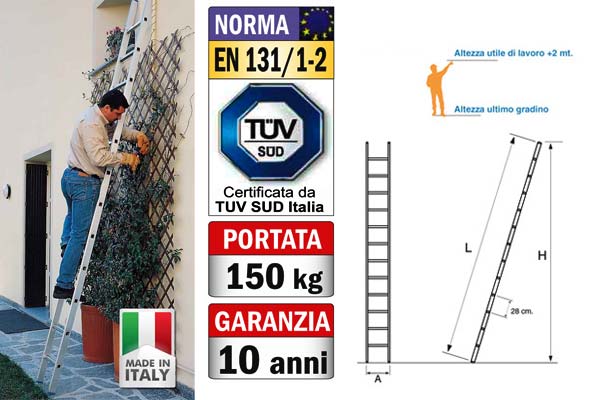 Scala a pioli professionale